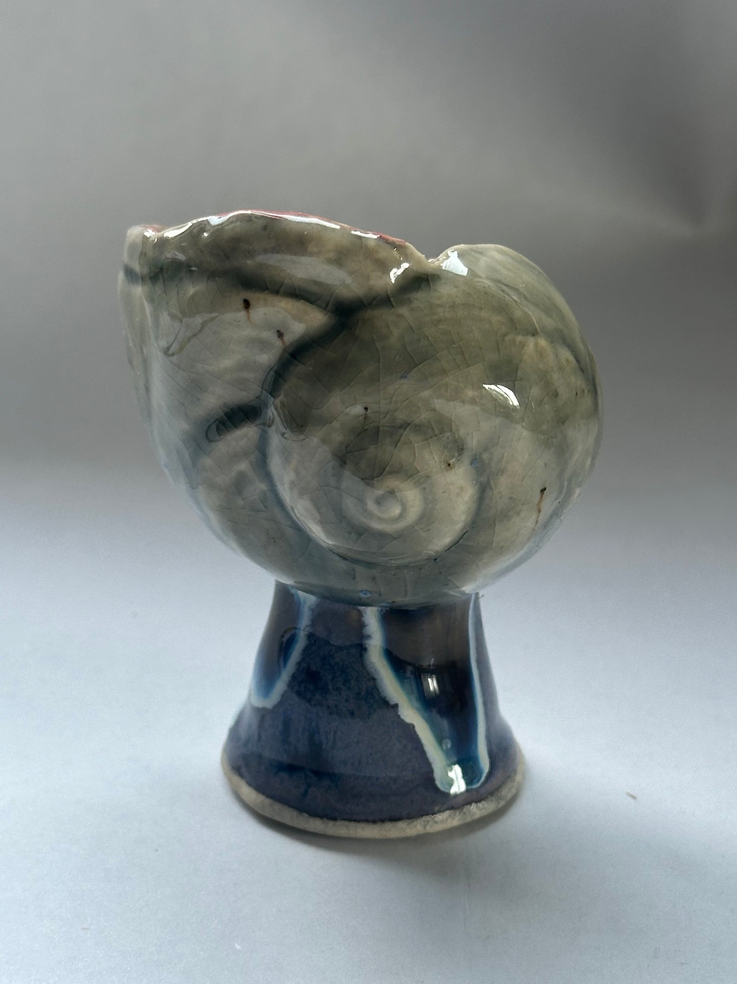 Shell Vessel