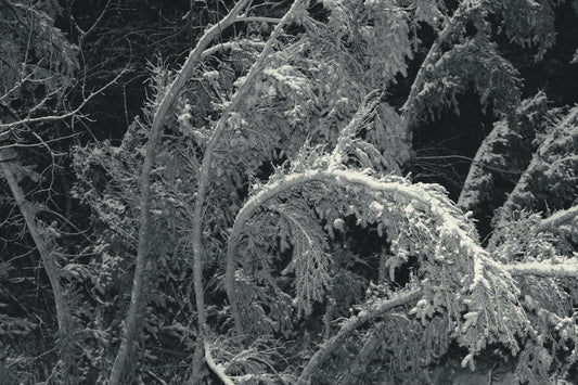 Roots of the Universe