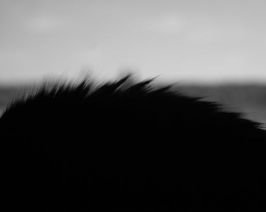 020324