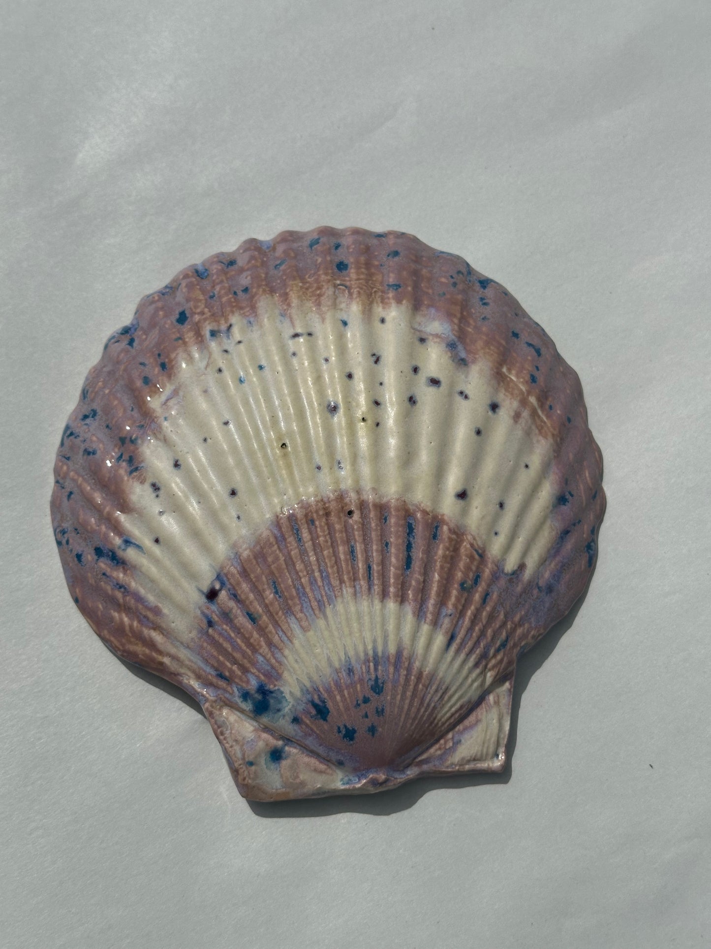 See - Shell Plate