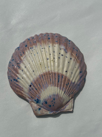 See - Shell Plate