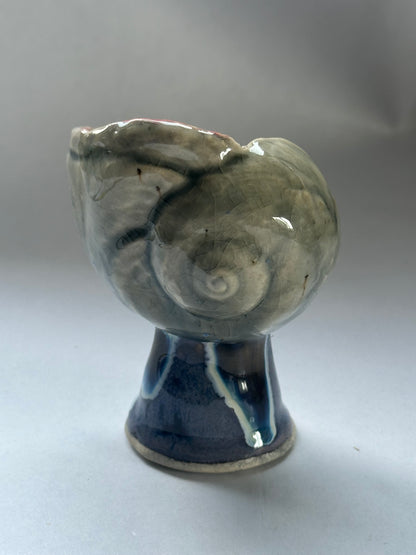 Shell Vessel