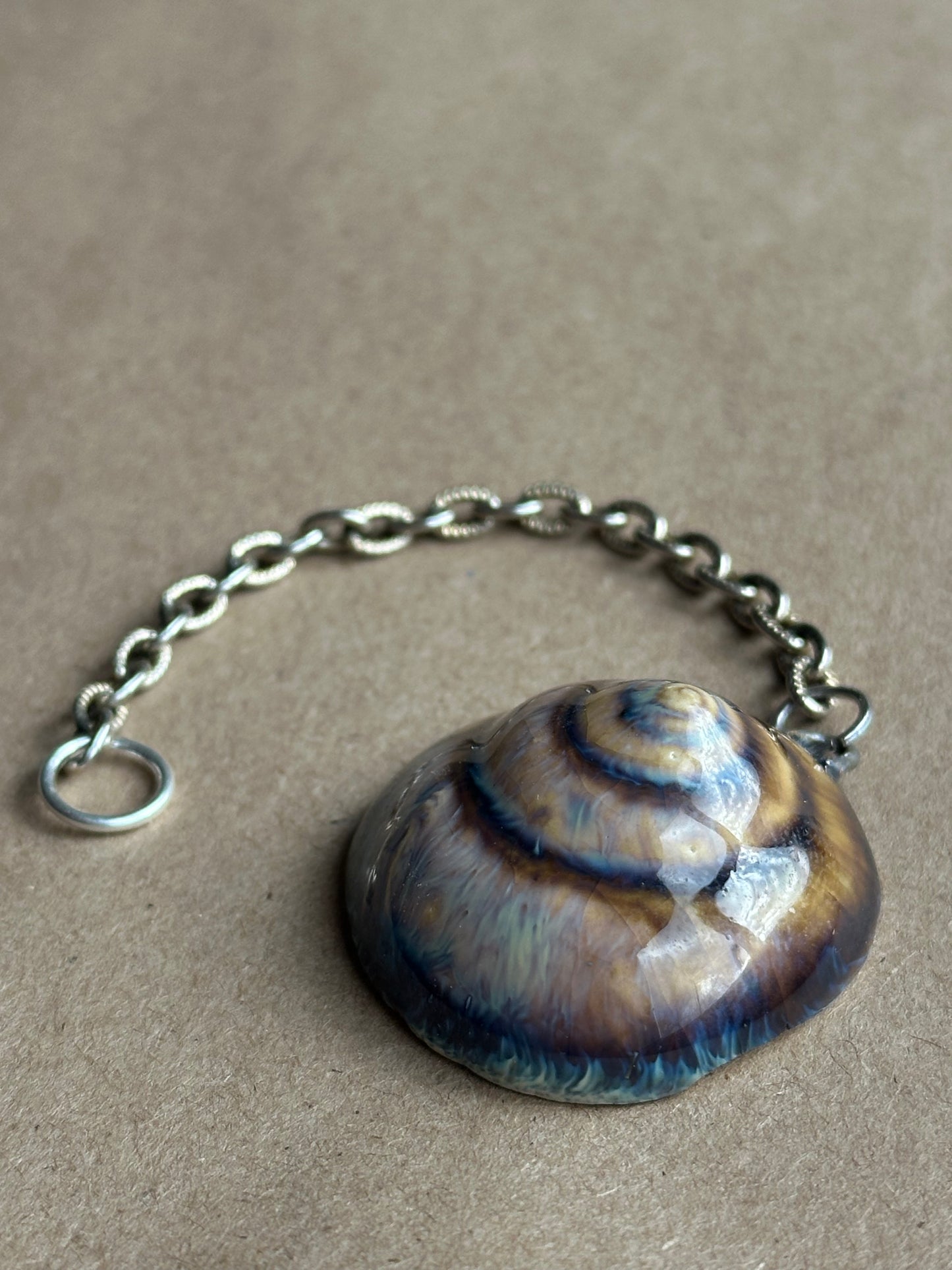 Midnight Wolf - Shell Charm