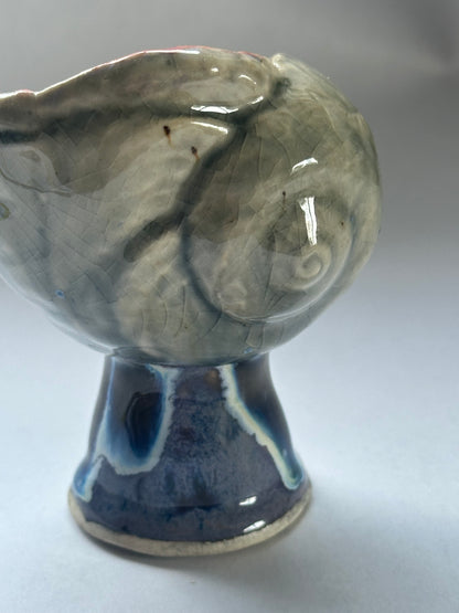 Shell Vessel