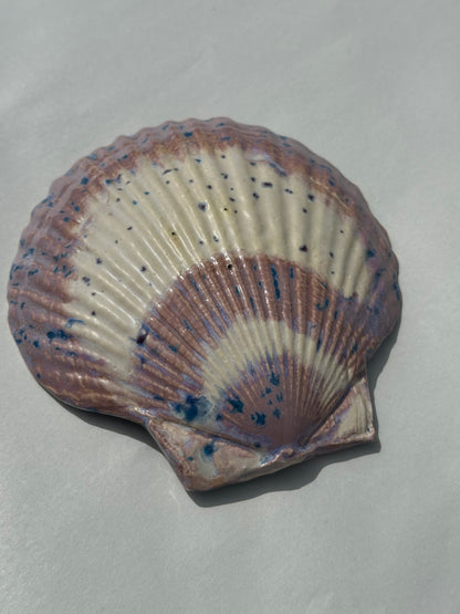 See - Shell Plate