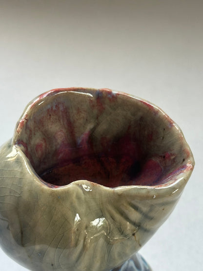 Shell Vessel
