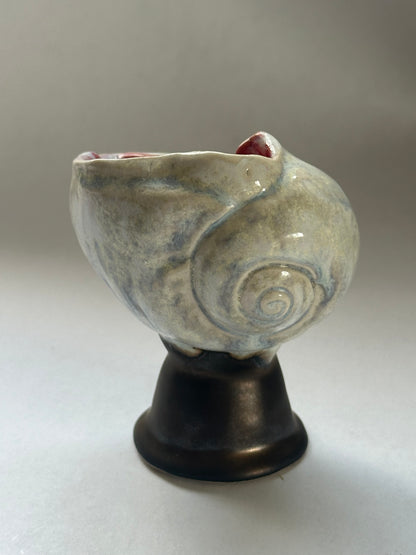 Shell Vessel