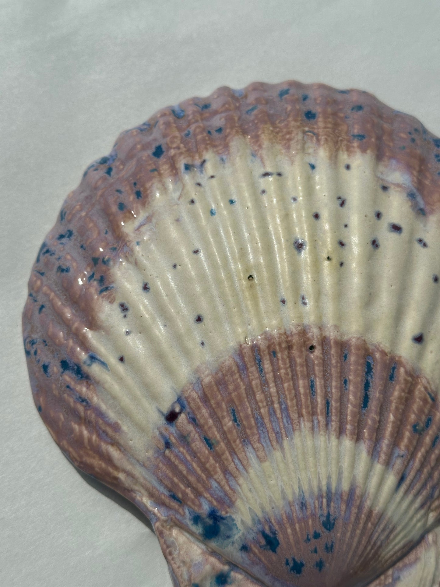 See - Shell Plate