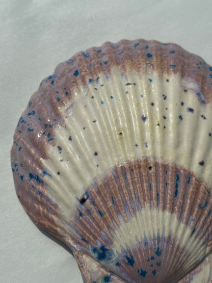 See - Shell Plate