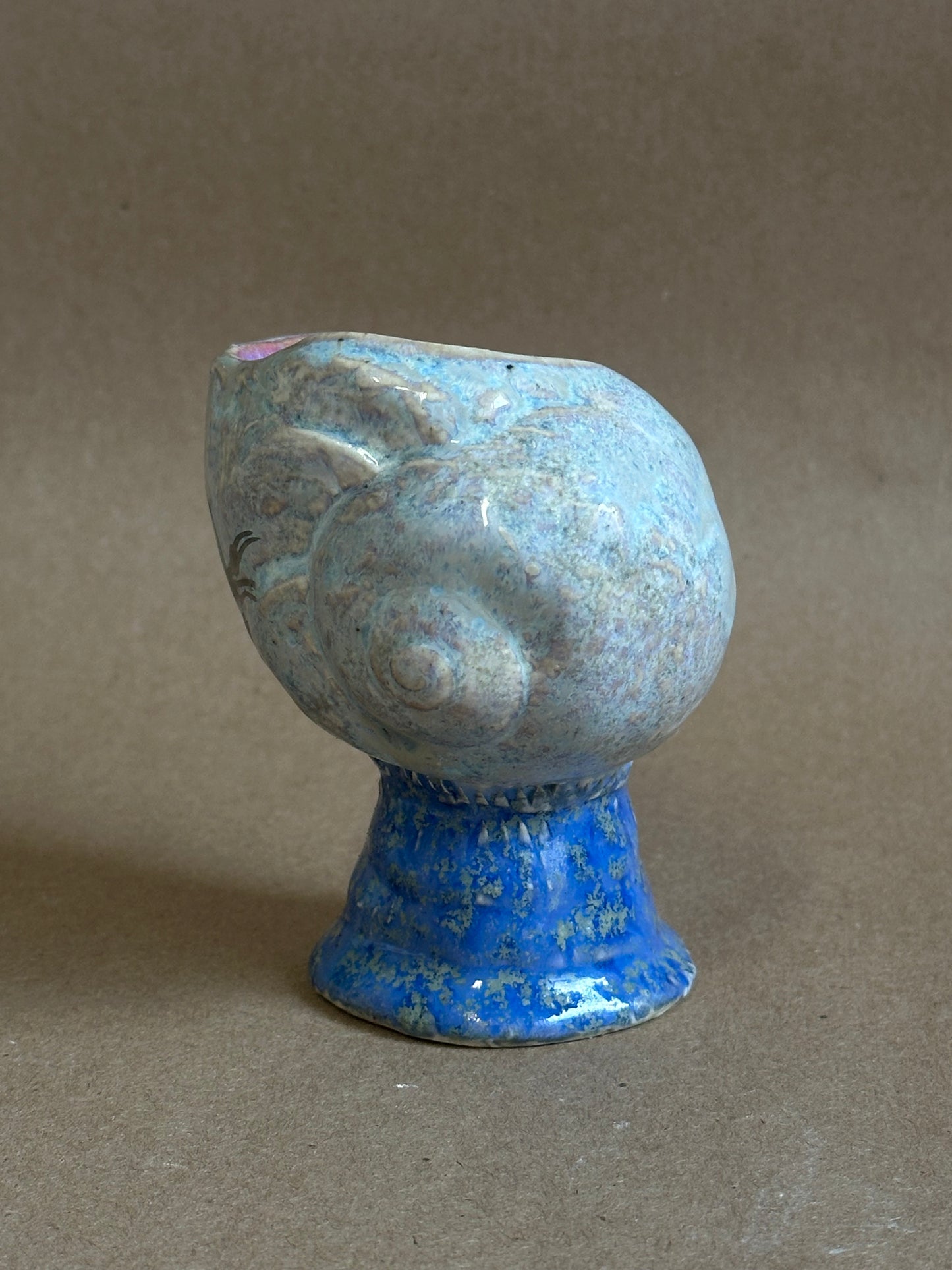 Shell Vessel