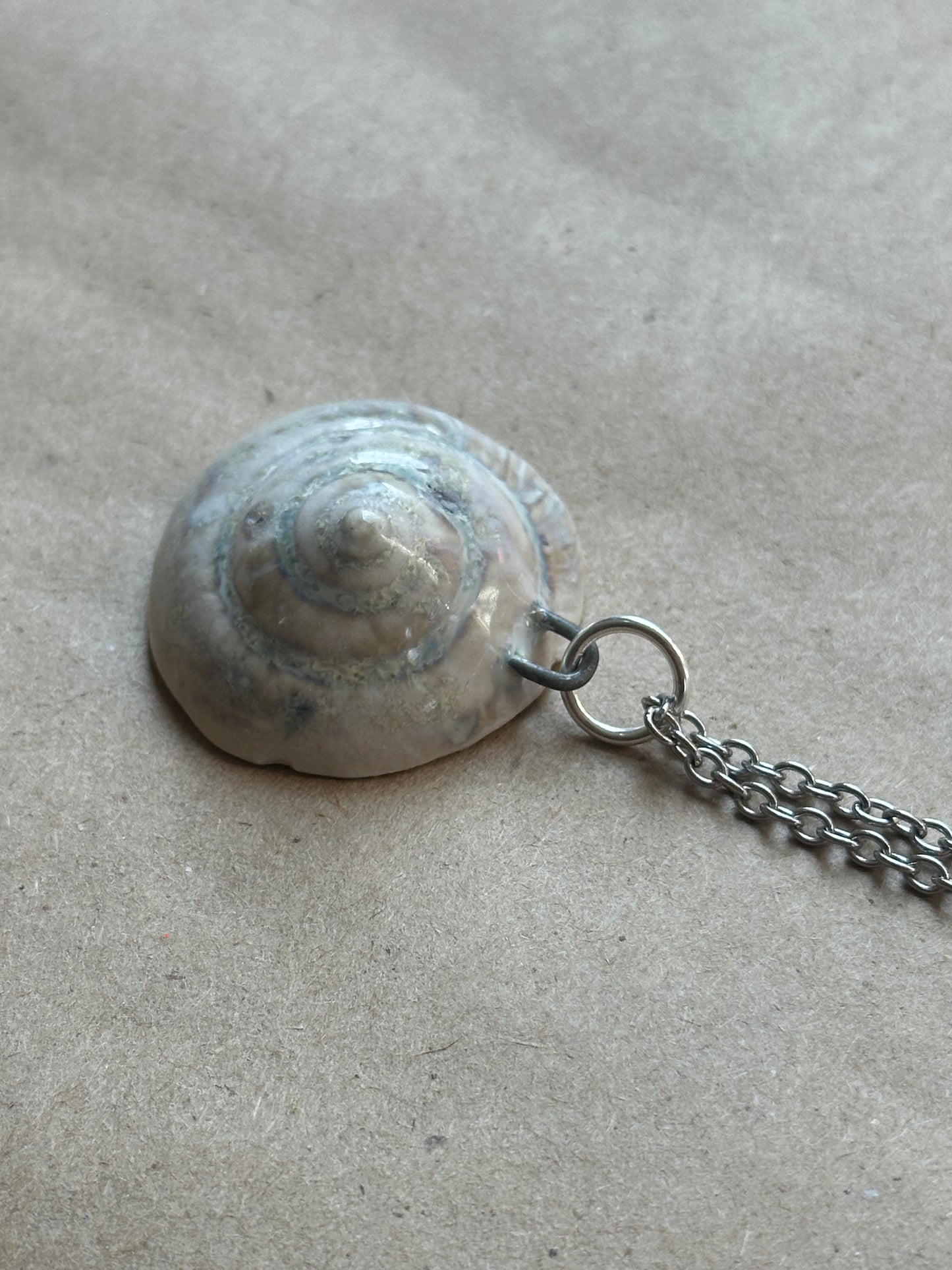 Wolf Shelter Shell - Necklace