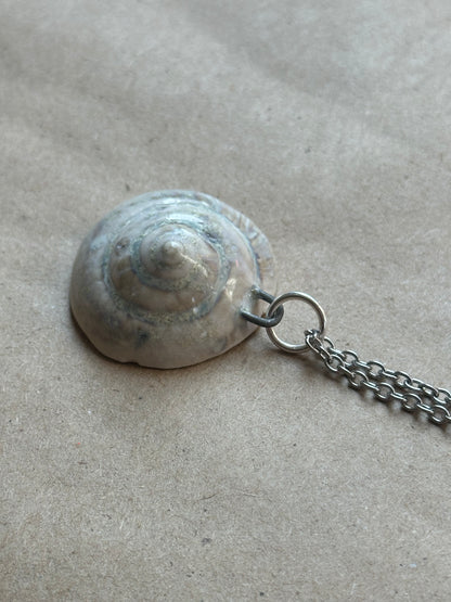 Wolf Shelter Shell - Necklace