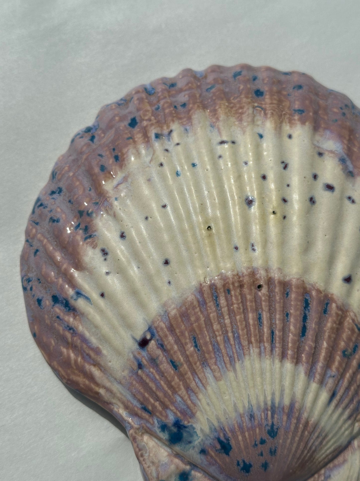 See - Shell Plate