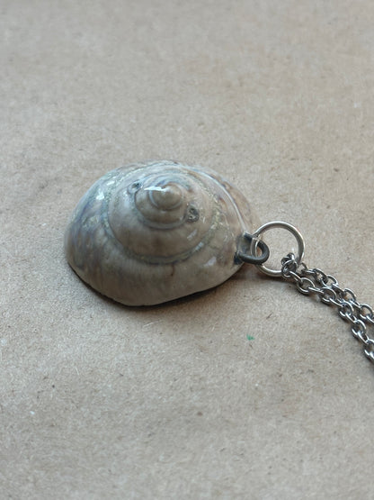 Wolf Shell - Necklace