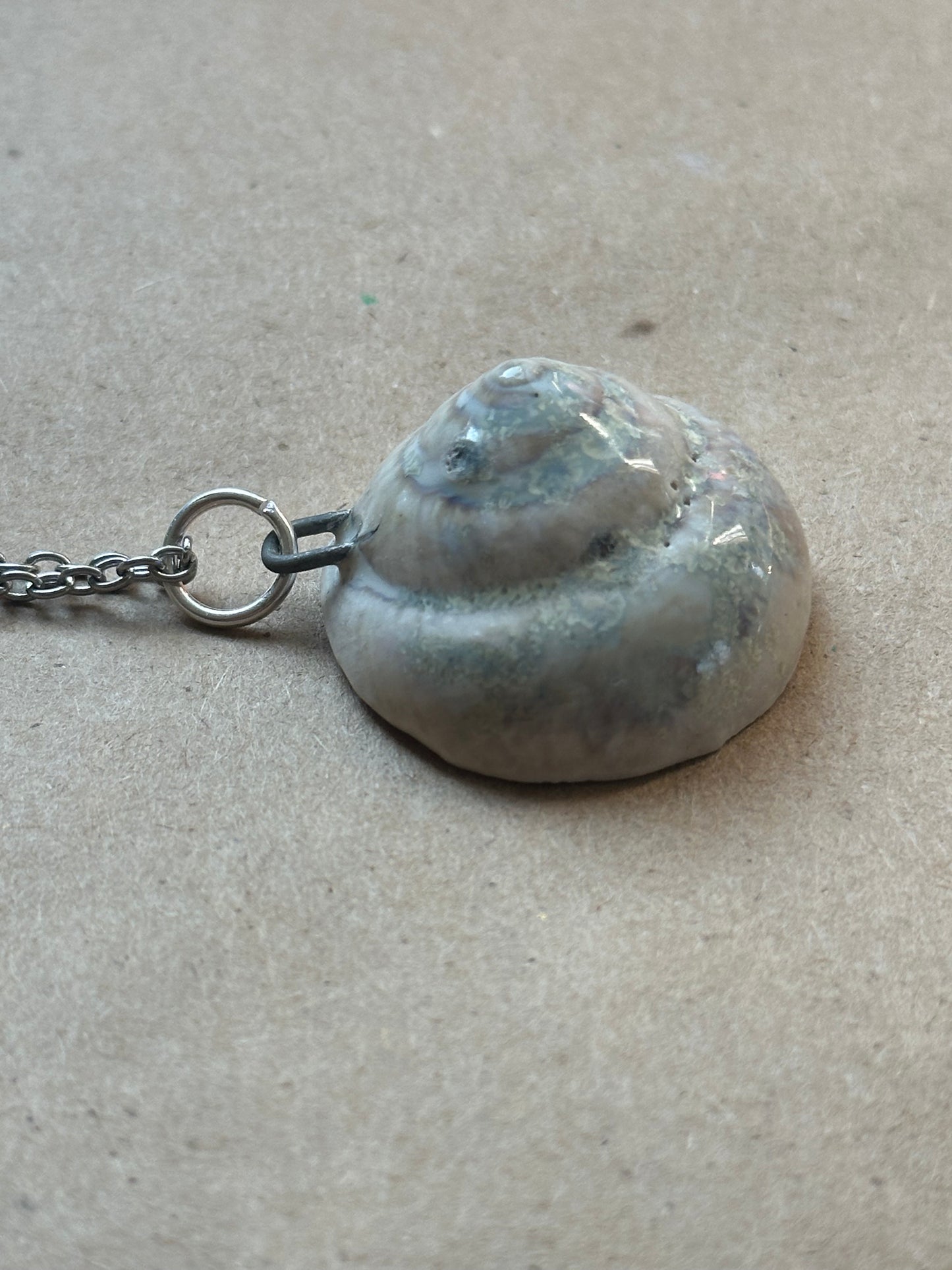 Wolf Shell - Necklace