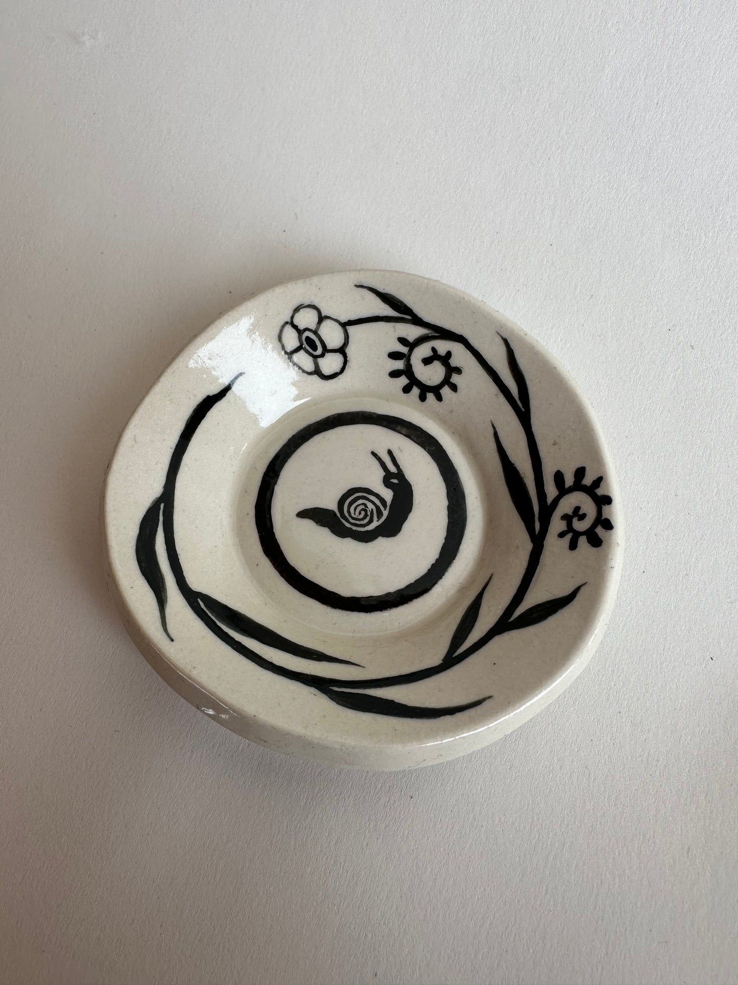 Snail - Dish (a)