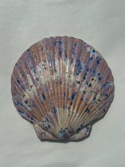 You - Shell Plate