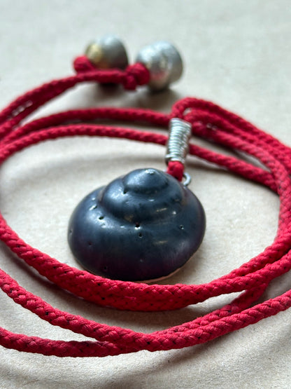 Shelter Shell - Necklace