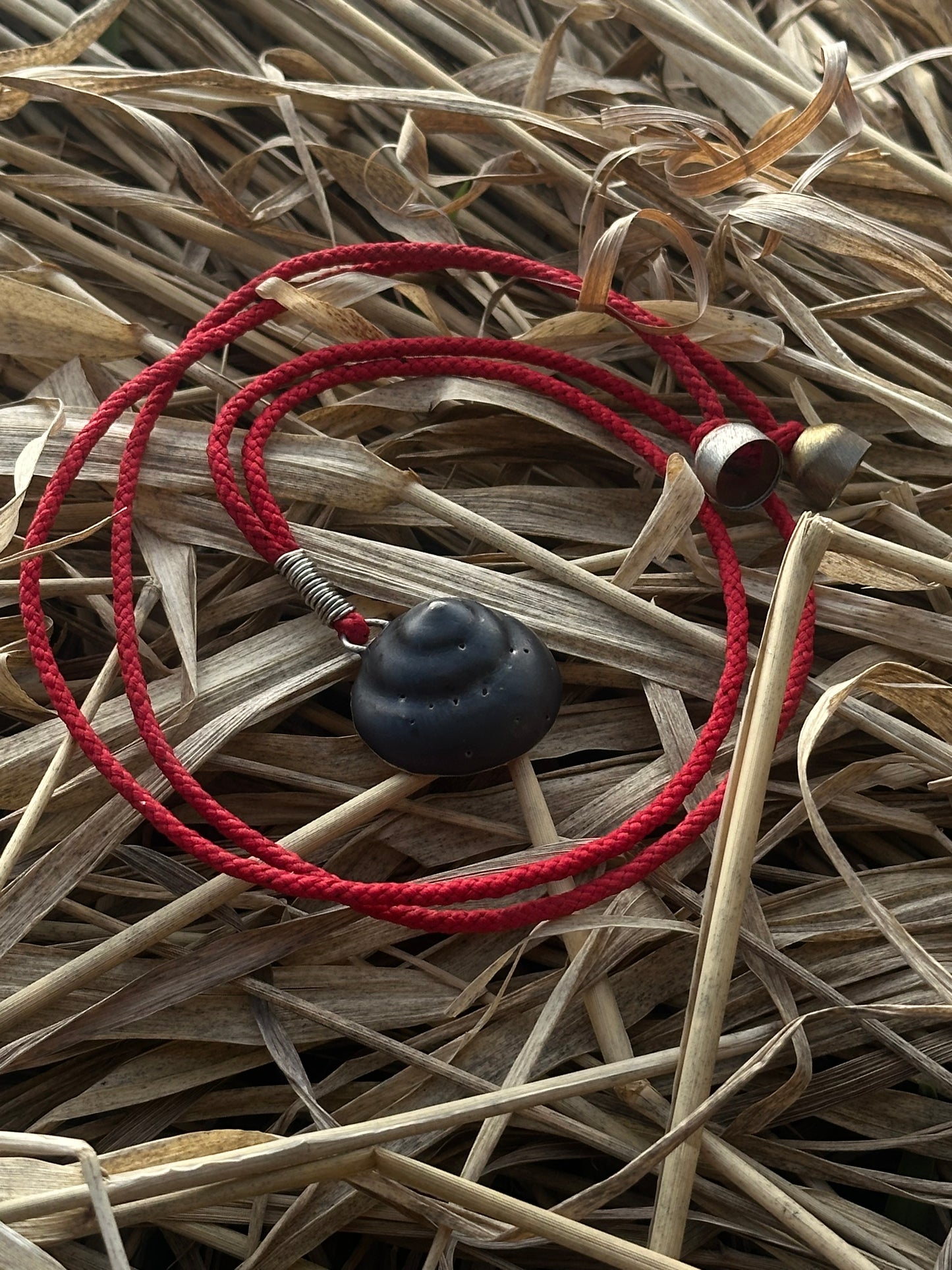 Shelter Shell - Necklace