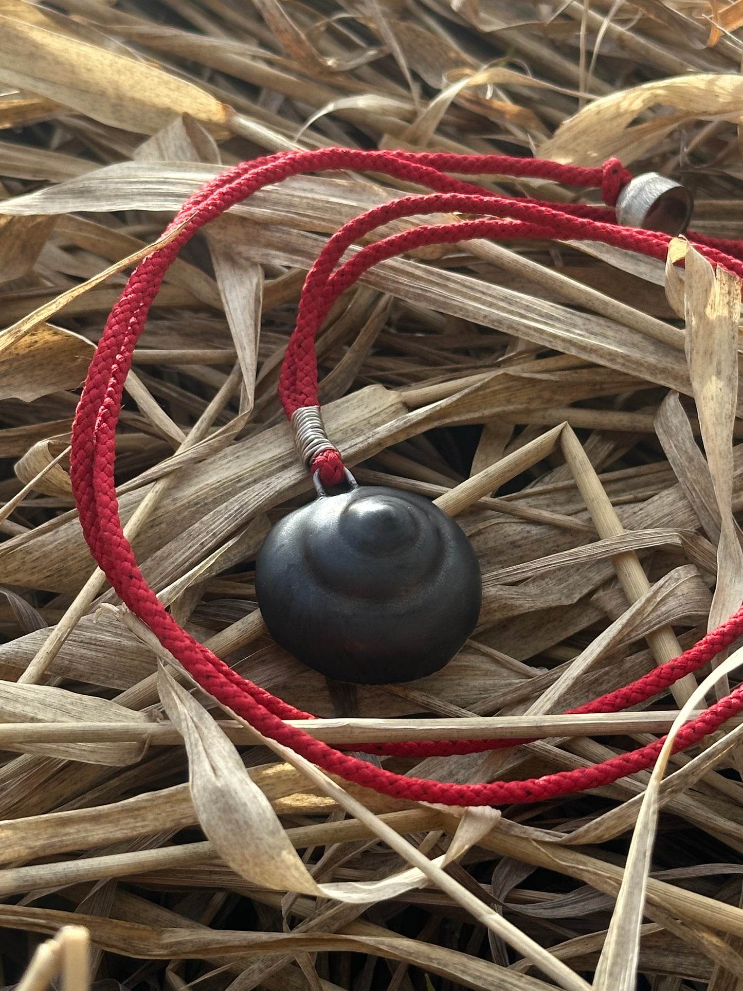 Hare Shell - Necklace