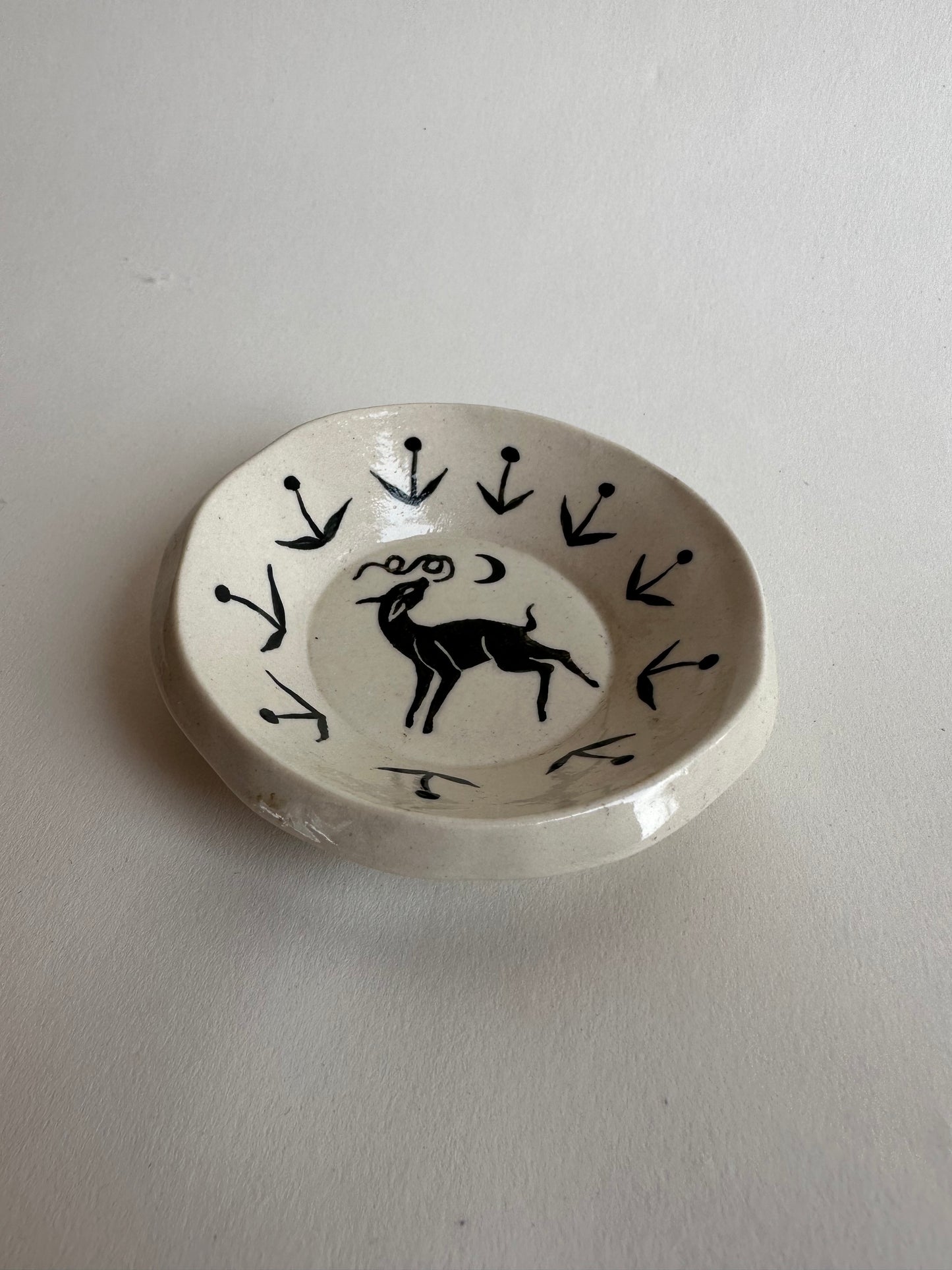 Spring Night - Dish