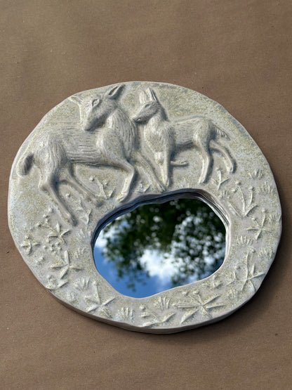 Pond Mirror