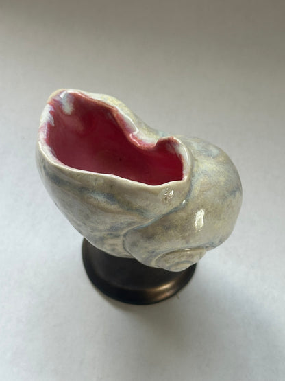 Shell Vessel