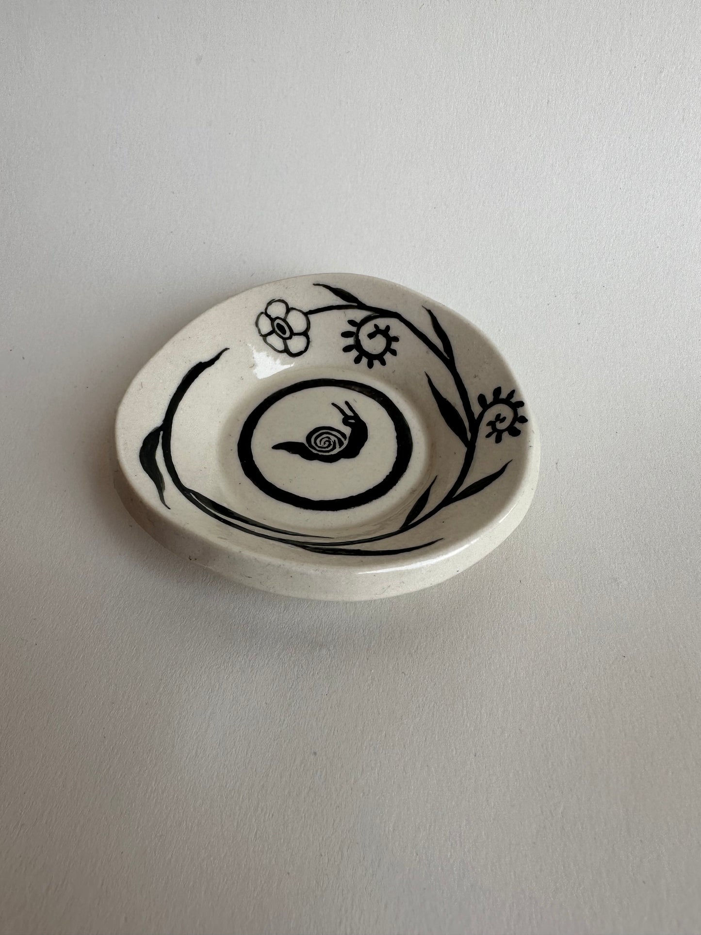 Snail - Dish (a)
