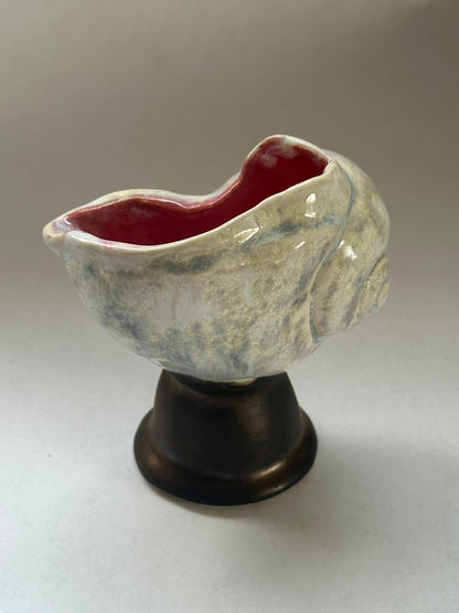 Shell Vessel
