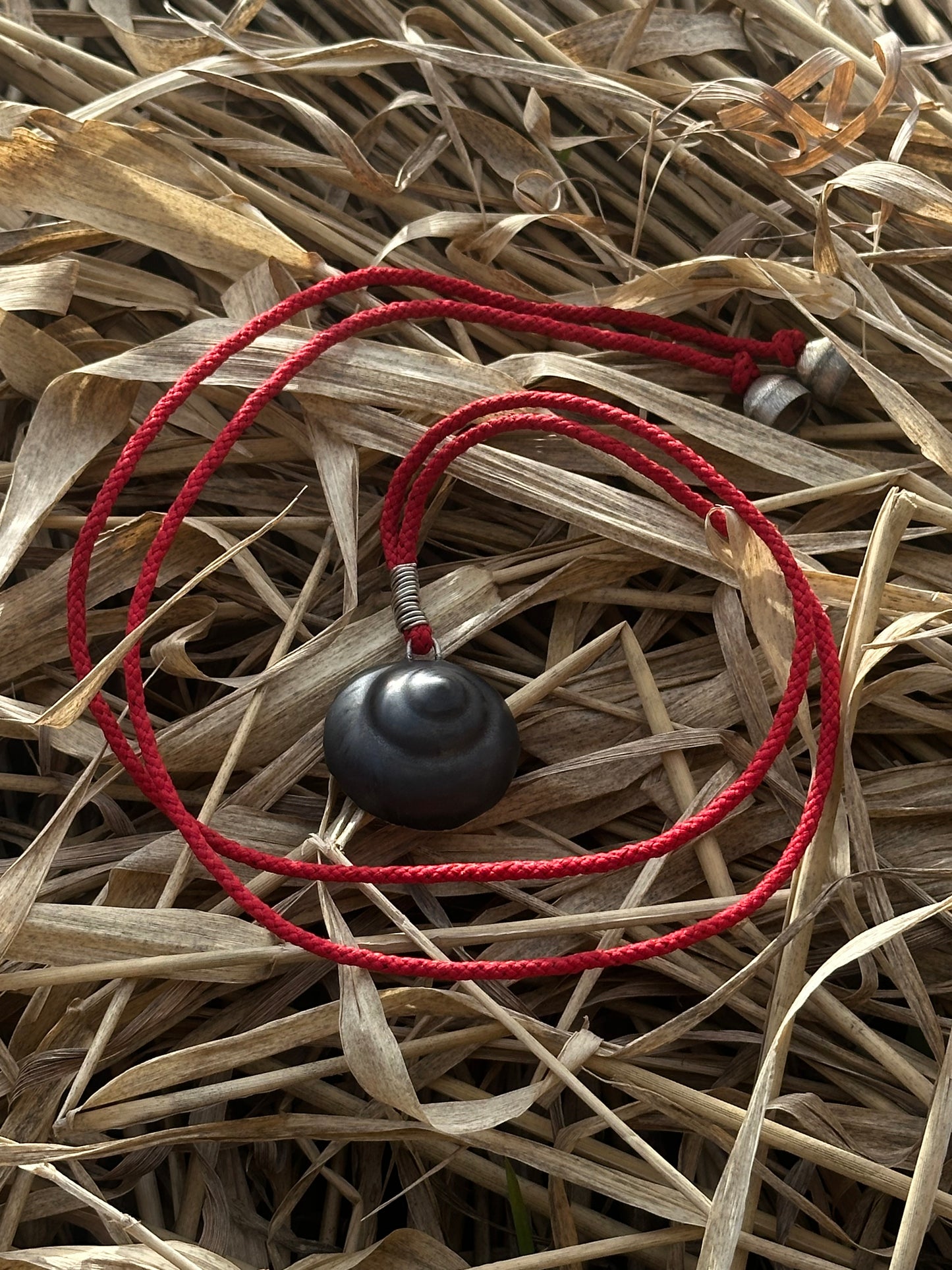 Hare Shell - Necklace