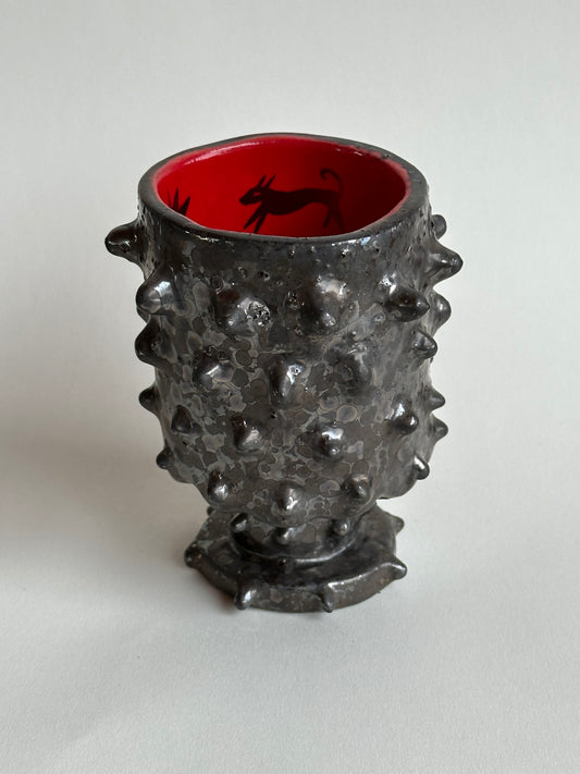 Andromeda  - Cup