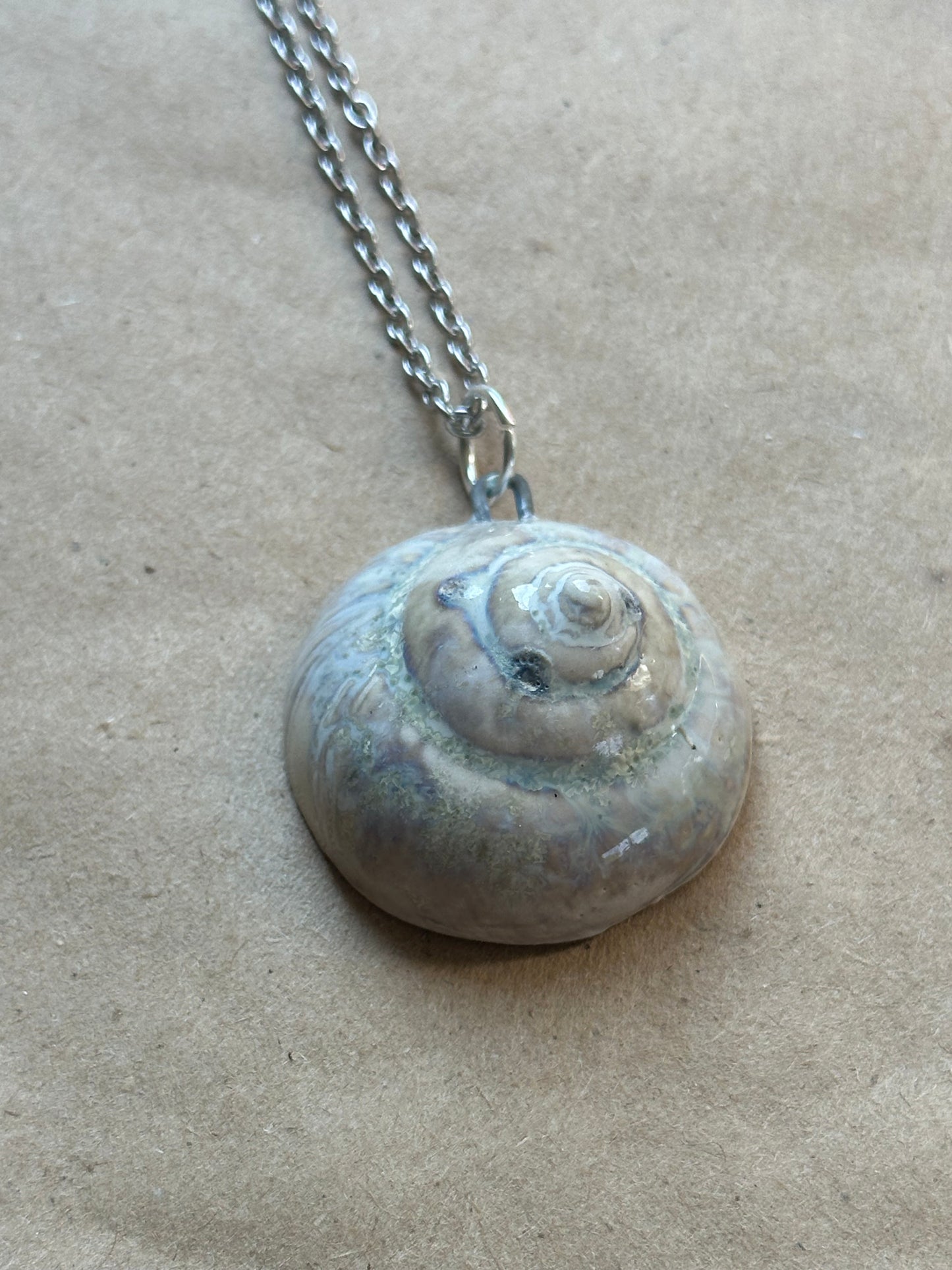 Wolf Shell - Necklace