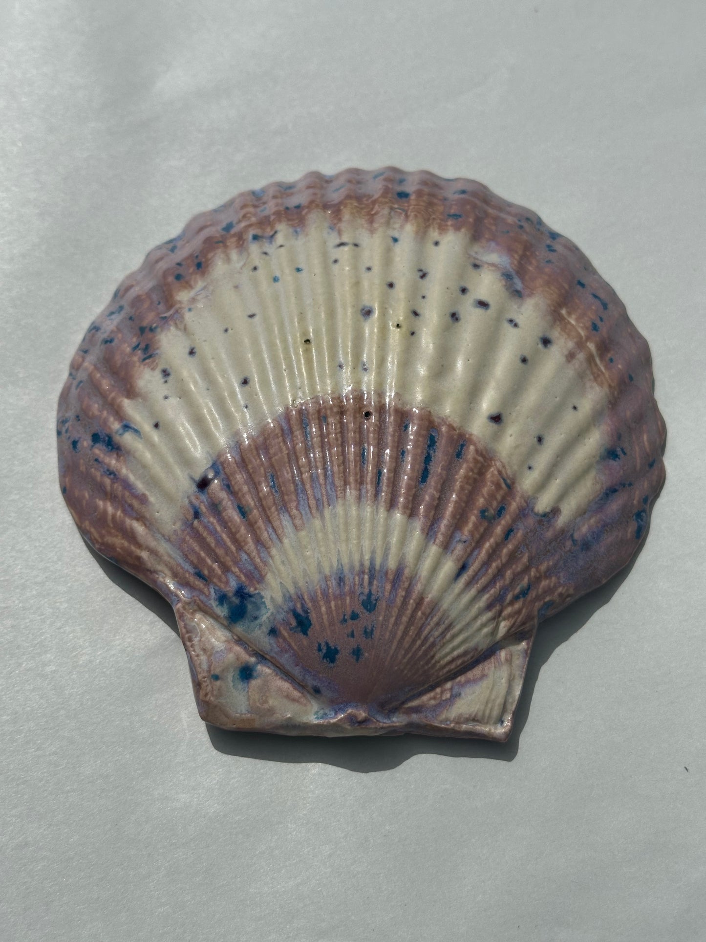 See - Shell Plate