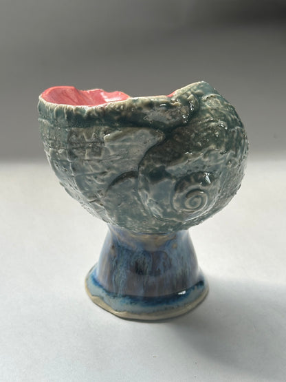 Shell Vessel
