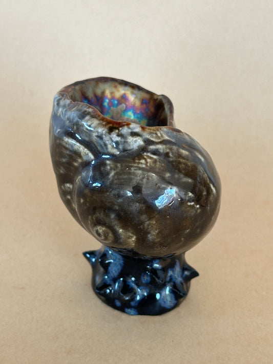 Shell Vessel - Seconds Sale