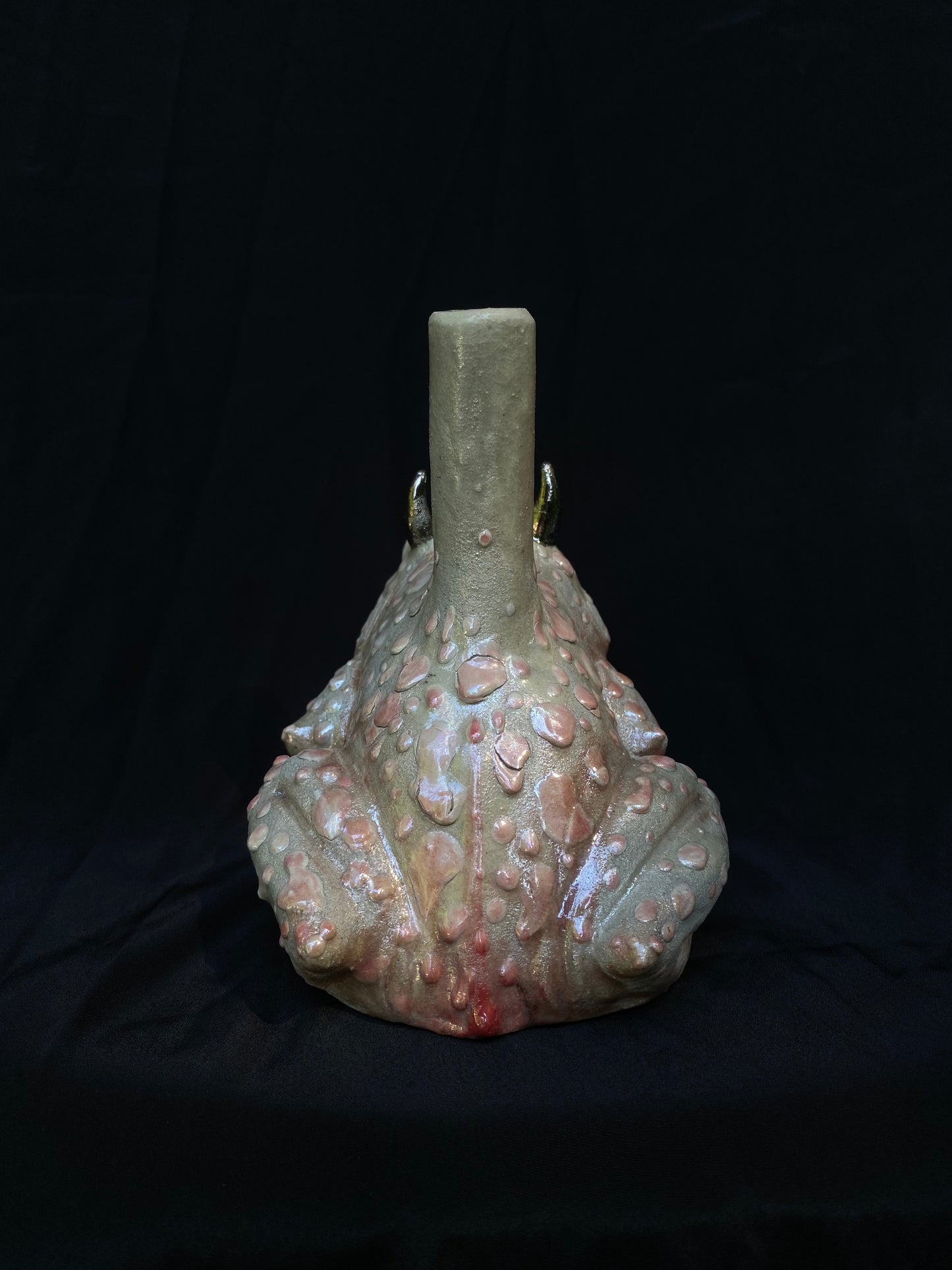 The Pearl Toad - Bong