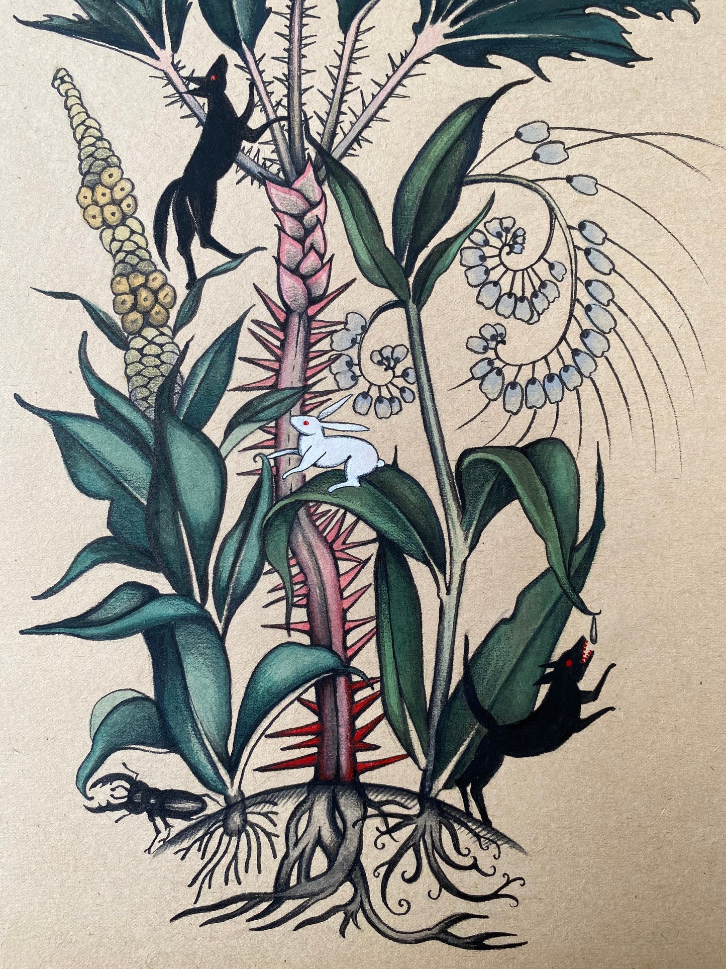 Herbalists Dream - Original