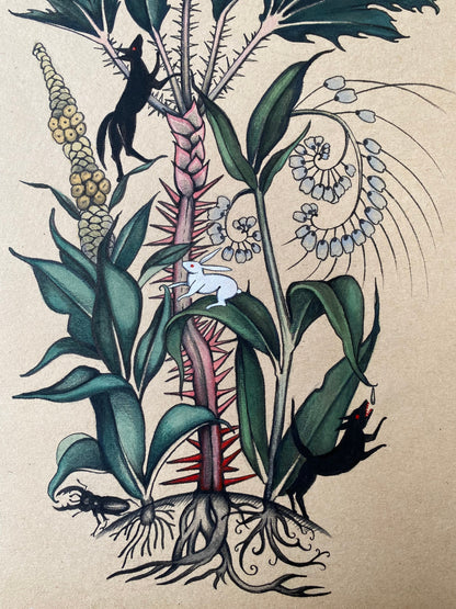 Herbalists Dream - Original