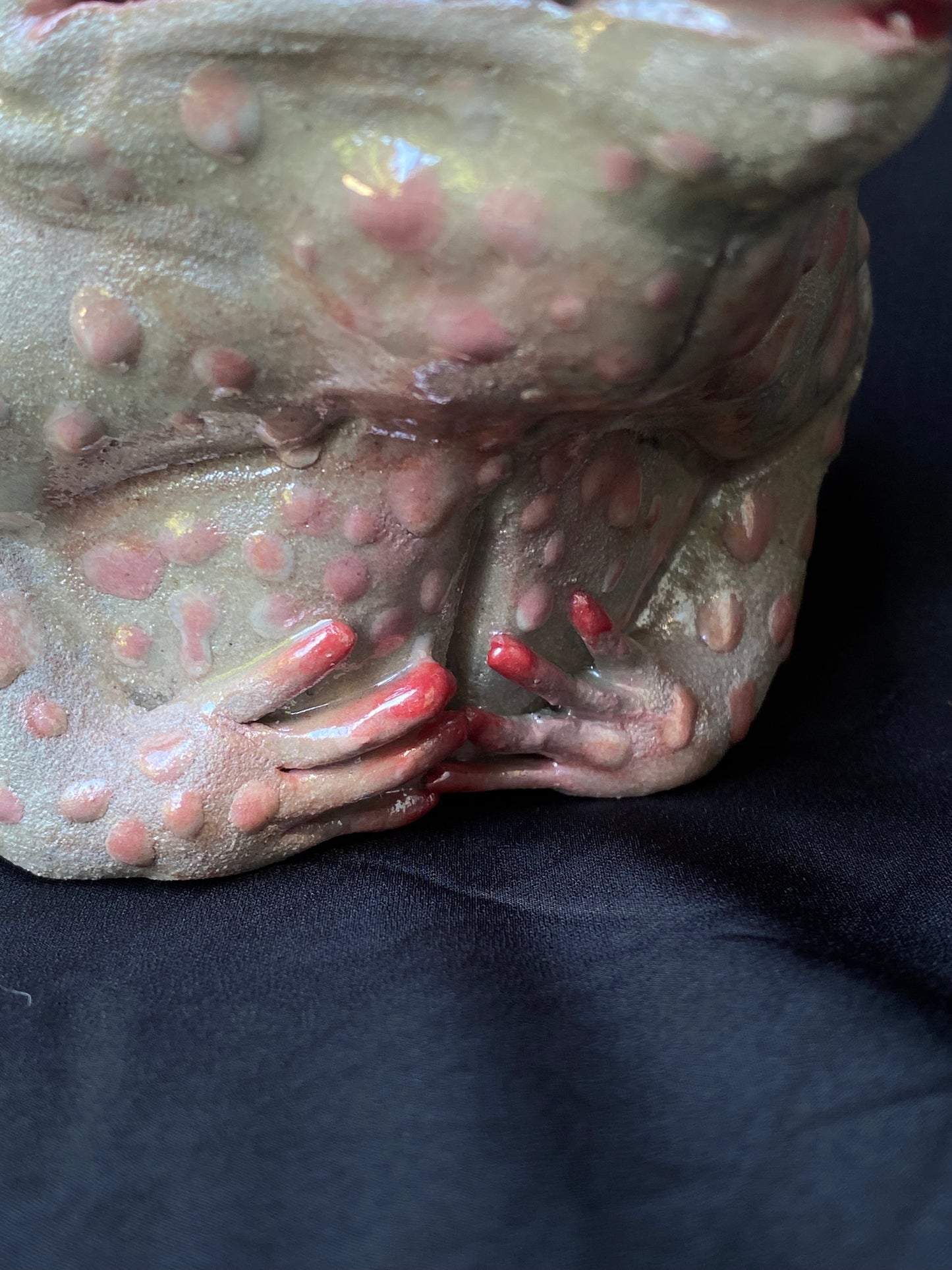 The Pearl Toad - Bong