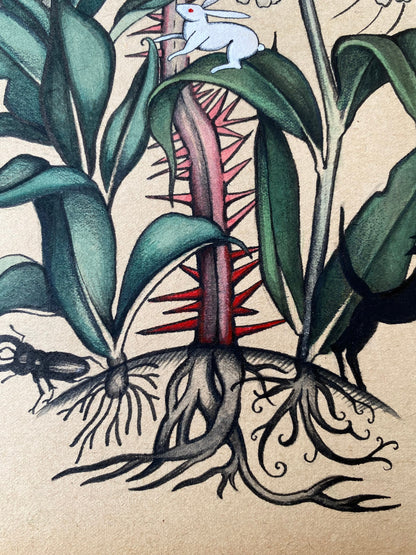 Herbalists Dream - Original
