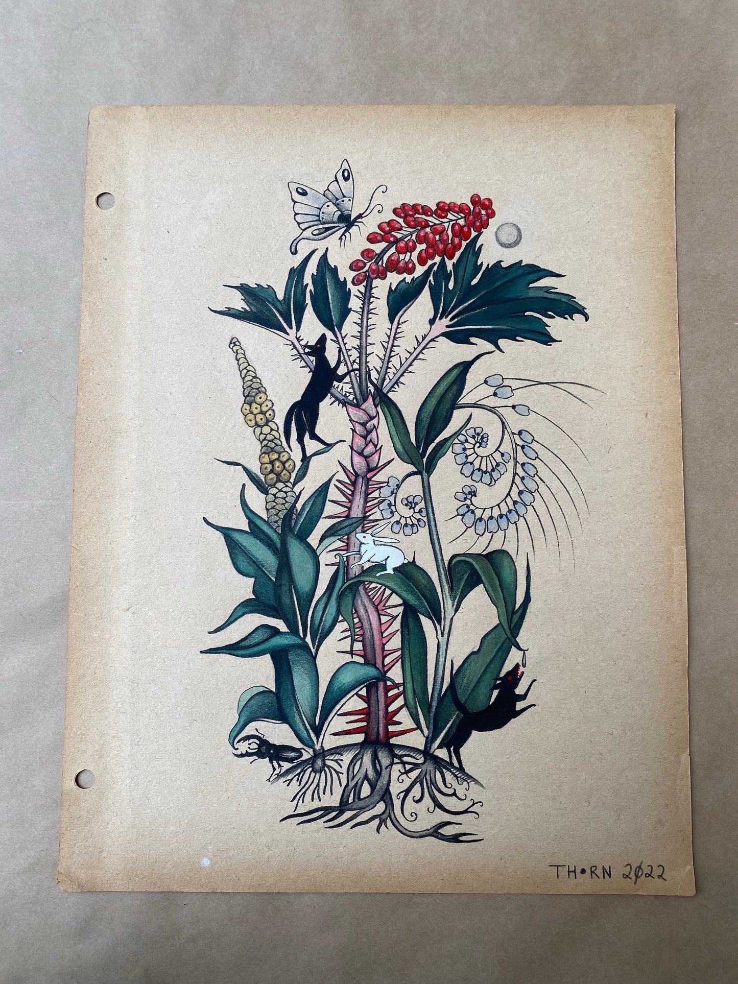 Herbalists Dream - Original