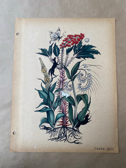 Herbalists Dream - Original